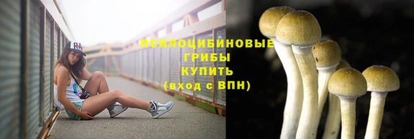 синтетический гашиш Алексин