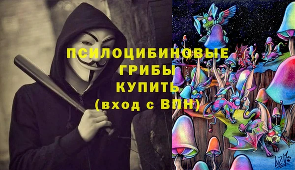 синтетический гашиш Алексин