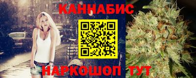 прущие грибы Будённовск