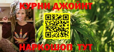 прущие грибы Будённовск
