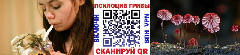 ОМГ ОМГ как войти  купить   Архангельск  Псилоцибиновые грибы прущие грибы 
