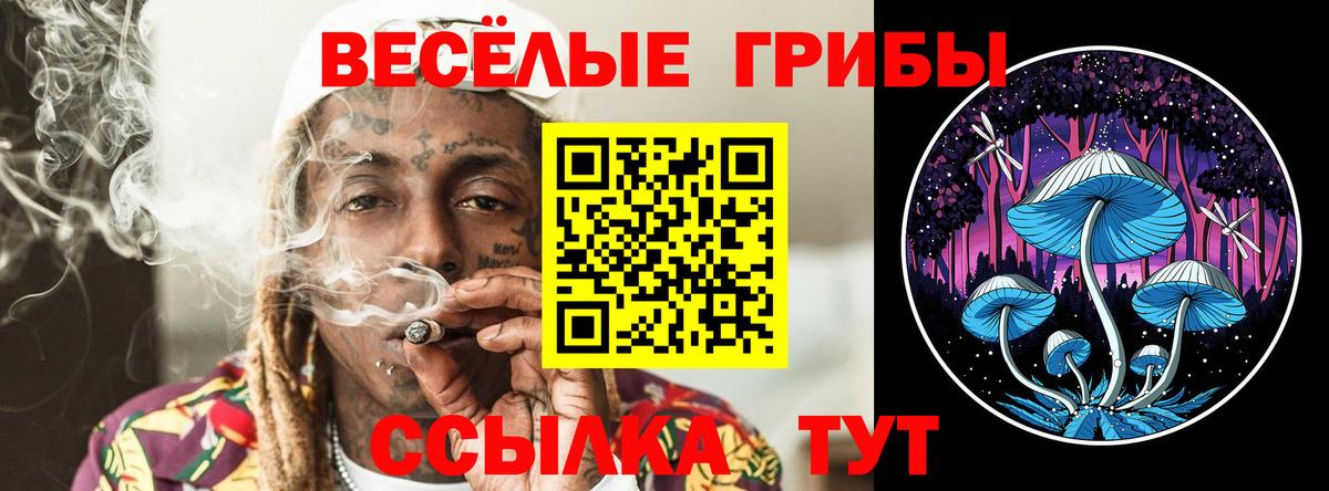 Галлюциногенные грибы Cubensis Архангельск