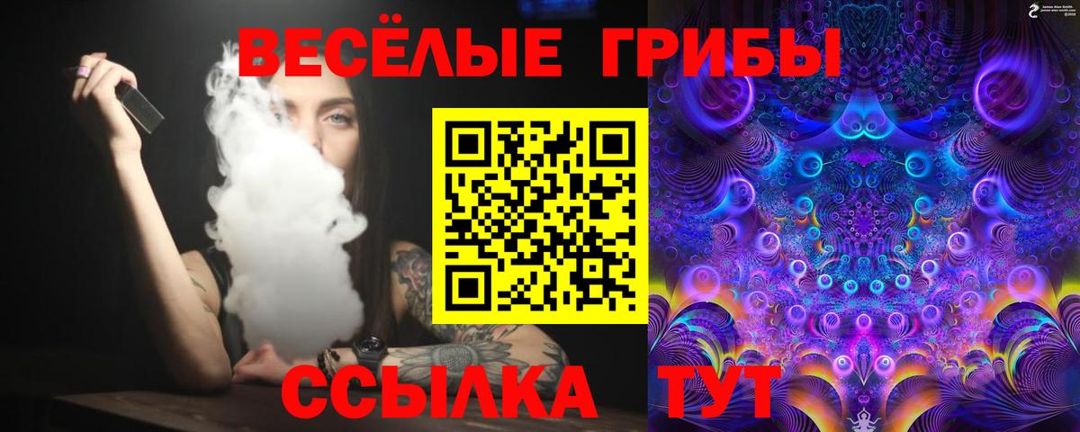 Архангельск  где купить наркоту  Вход с VPN  Псилоцибиновые грибы MAGIC MUSHROOMS 