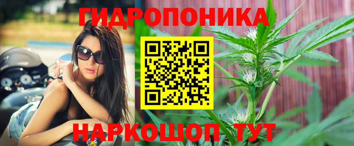 Марихуана Bruce Banner  Канабис MAZAR  Шишки марихуана марихуана  Архангельск  Канабис White Widow  Вход с VPN 